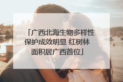 广西北海生物多样性保护成效明显 红树林面积居广西首位